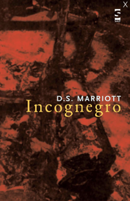 marriott-incognegro